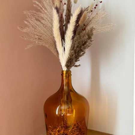 La Maison D'irmine * Sarralbe