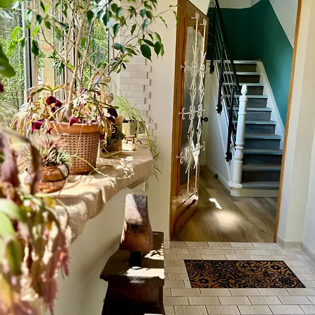 La Maison D'irmine 酒店 Sarralbe